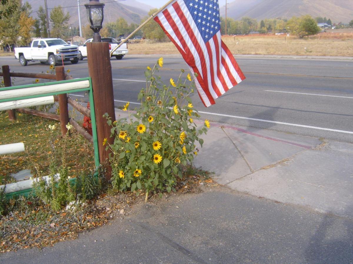 High Country Motel Bellevue 외부 사진
